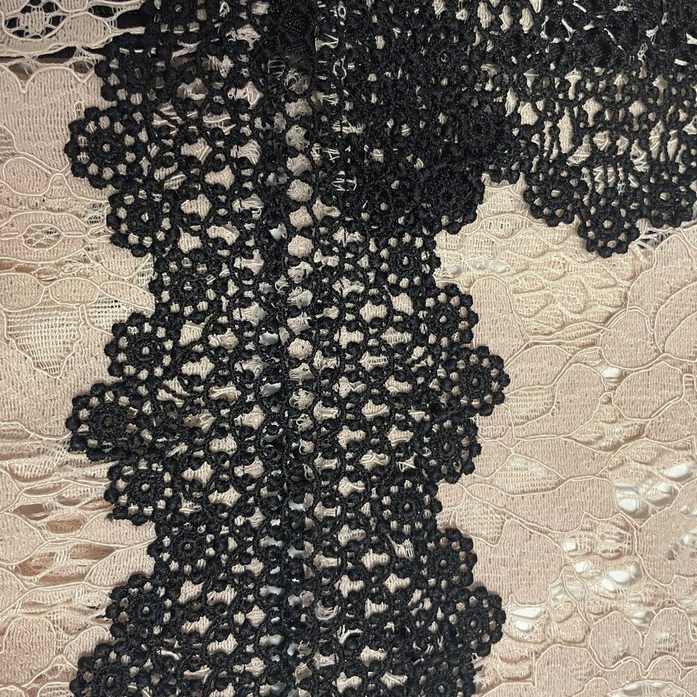 ZARA Lace Sheer Top XS Beige Black Floral High Neck Victorian Romantic Boho Lacy - Picture 13 of 15